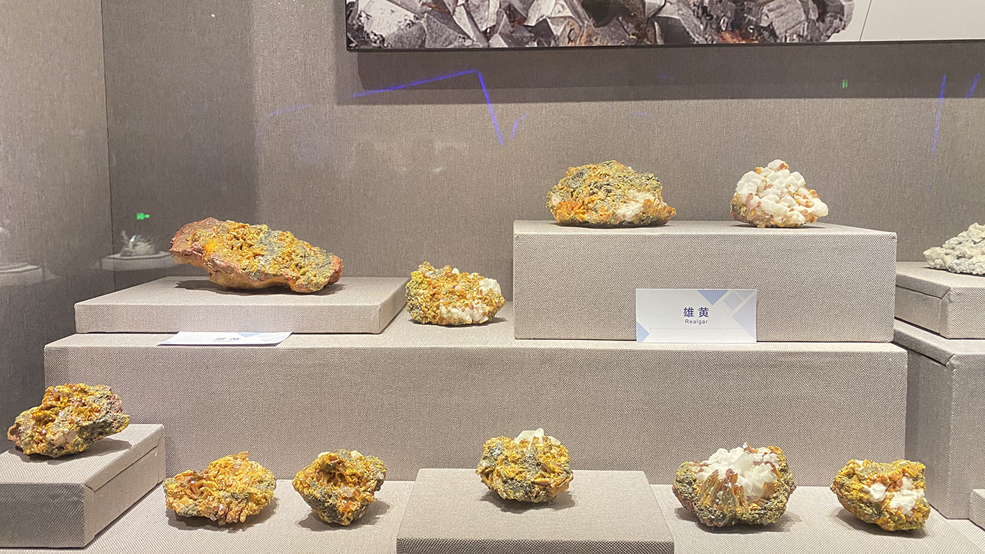 漫走設(shè)計丨打卡順德自然科學(xué)館，探索“快樂星球”！