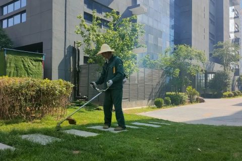 感受夏日，體驗涼爽，走進這座創業之城！